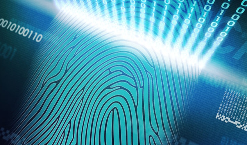 Cum funcționează OS Fingerprinting: noțiuni fundamentale necesare